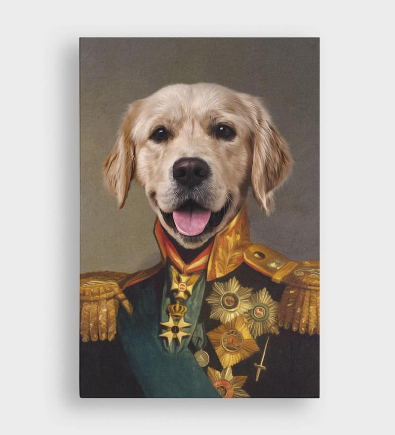 Dog Portraits