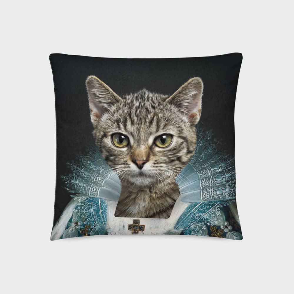 pet on a pillow